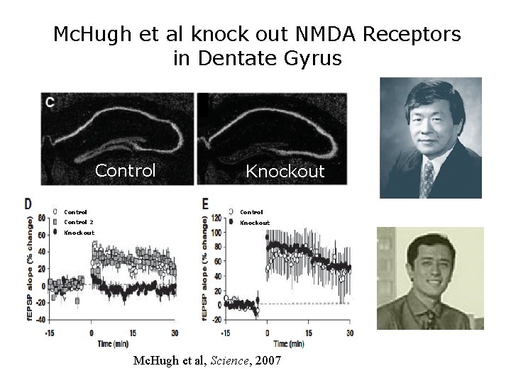 Mc. Hugh et al knock out NMDA Receptors in Dentate Gyrus Control Knockout Control