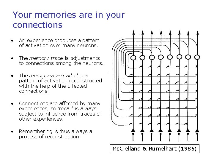 Your memories are in your connections • An experience produces a pattern of activation