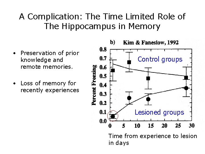 A Complication: The Time Limited Role of The Hippocampus in Memory • Preservation of