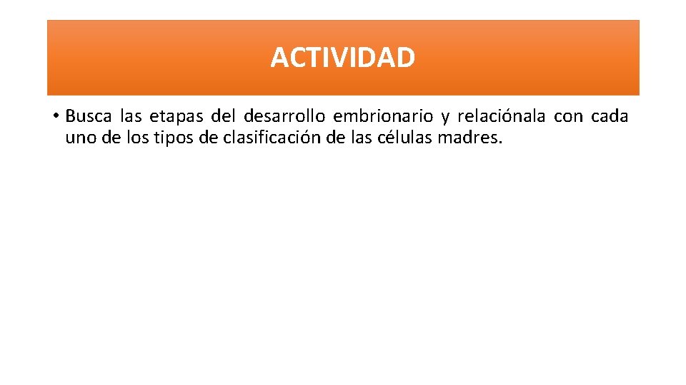 ACTIVIDAD • Busca las etapas del desarrollo embrionario y relaciónala con cada uno de