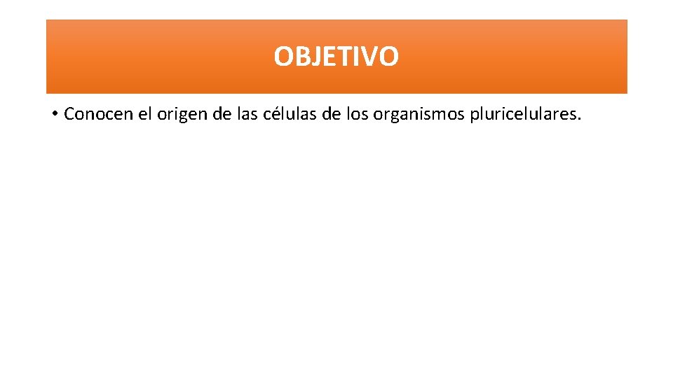 OBJETIVO • Conocen el origen de las células de los organismos pluricelulares. 