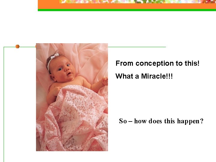 From conception to this! What a Miracle!!! So – how does this happen? 