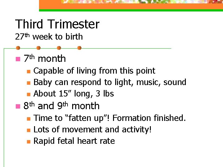 Third Trimester 27 th week to birth n 7 th month n n Capable