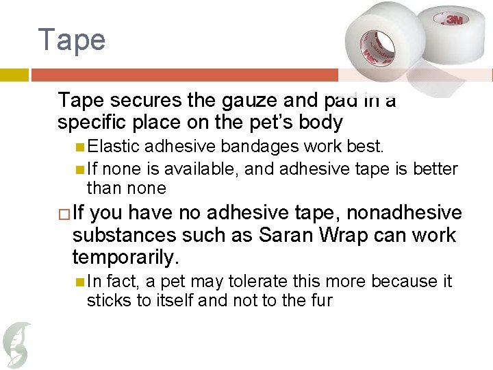Tape secures the gauze and pad in a specific place on the pet’s body