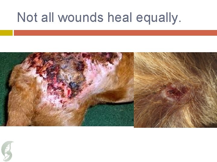 Not all wounds heal equally. 