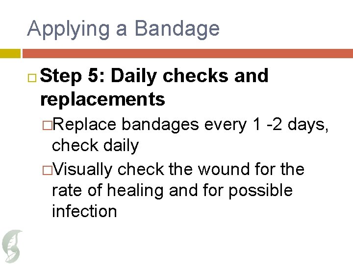 Applying a Bandage Step 5: Daily checks and replacements �Replace bandages every 1 -2