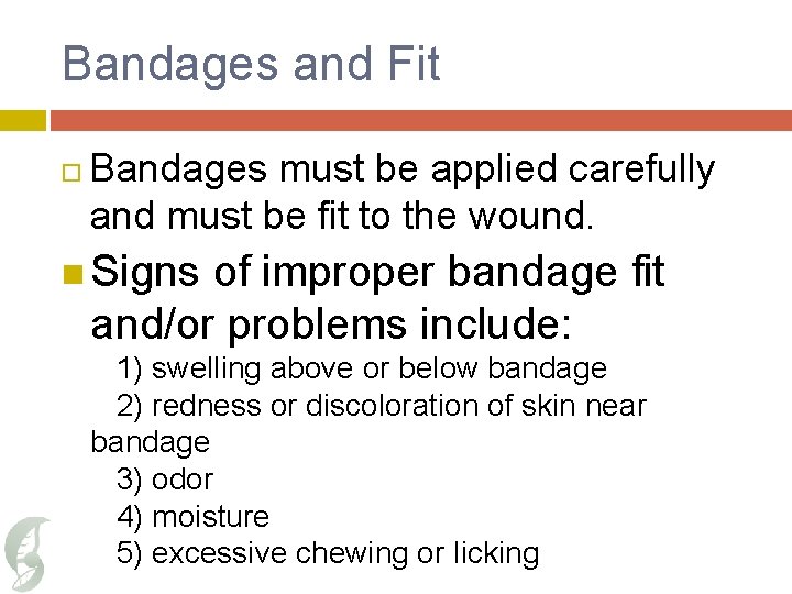 Bandages and Fit Bandages must be applied carefully and must be fit to the