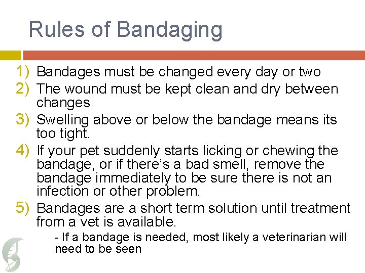 Rules of Bandaging 1) Bandages must be changed every day or two 2) The