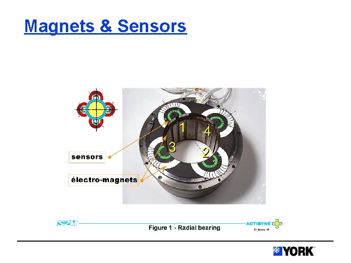Magnets & Sensors 