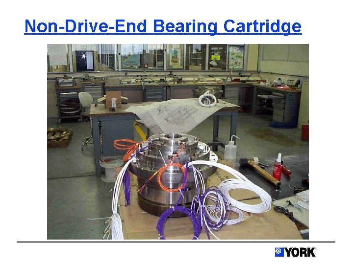 Non-Drive-End Bearing Cartridge 