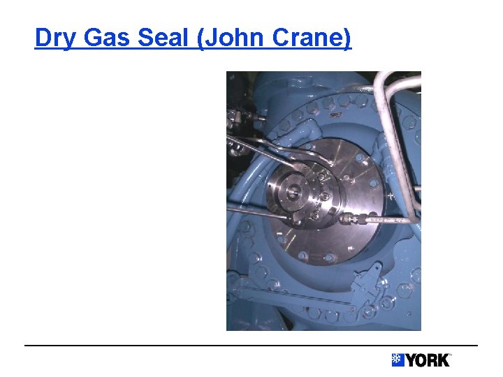 Dry Gas Seal (John Crane) 