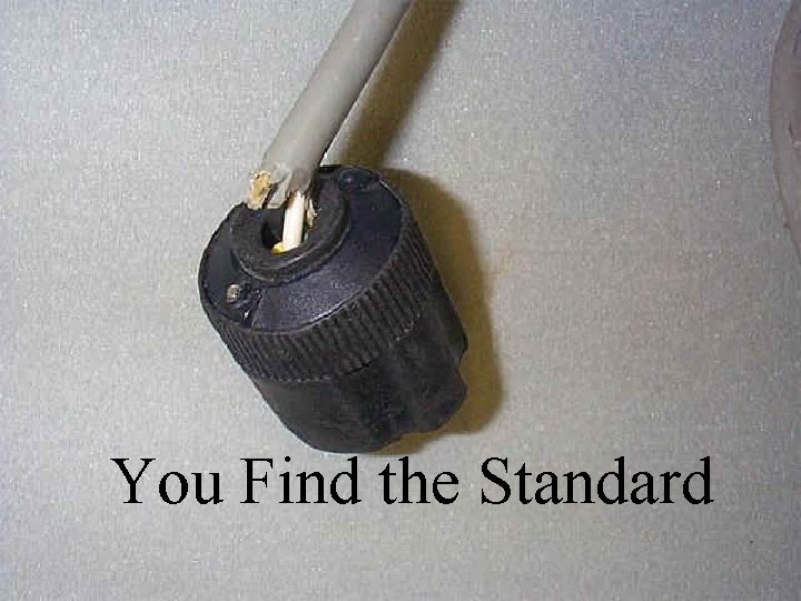 You Find the Standard 31 