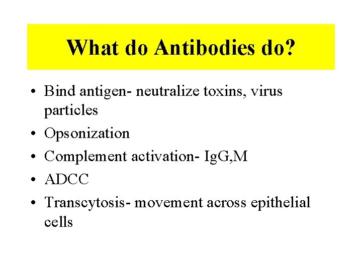 What do Antibodies do? • Bind antigen- neutralize toxins, virus particles • Opsonization •