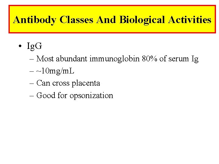Antibody Classes And Biological Activities • Ig. G – Most abundant immunoglobin 80% of
