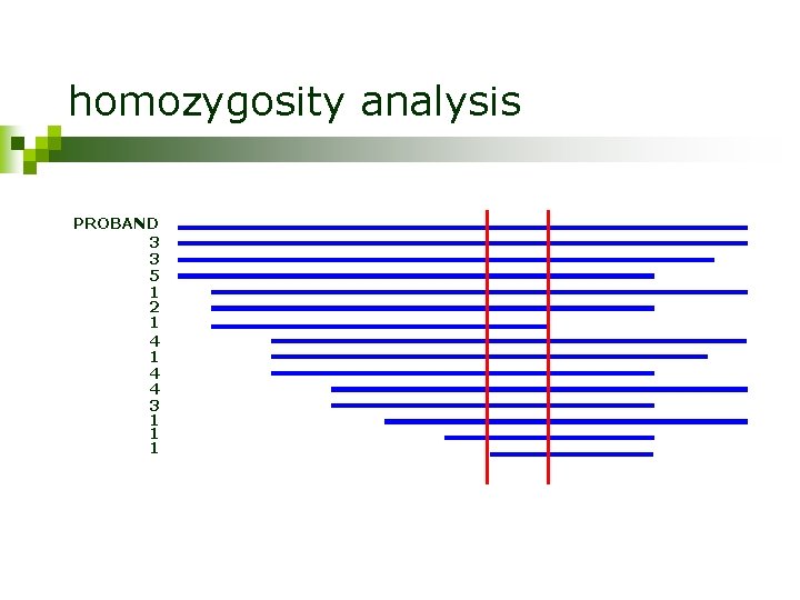 homozygosity analysis PROBAND 3 3 5 1 2 1 4 4 3 1 1