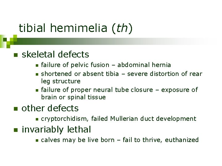 tibial hemimelia (th) n skeletal defects n n other defects n n failure of