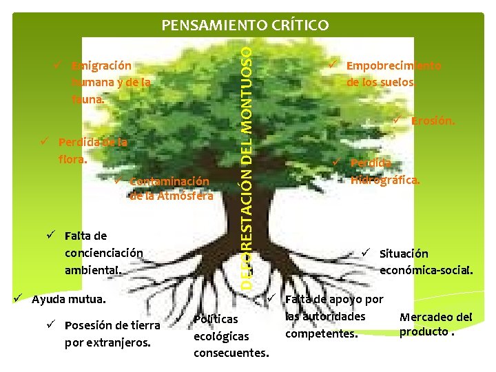  Emigración humana y de la fauna. Perdida de la flora. Contaminación de la