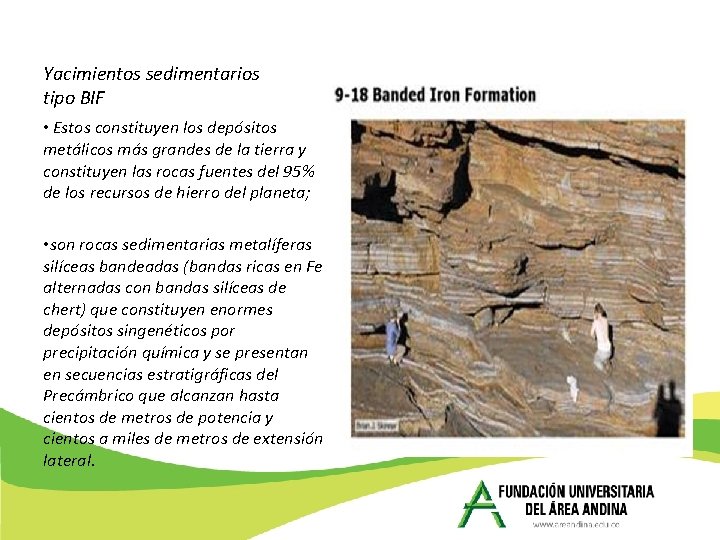 Yacimientos sedimentarios tipo BIF • Estos constituyen los depósitos metálicos más grandes de la