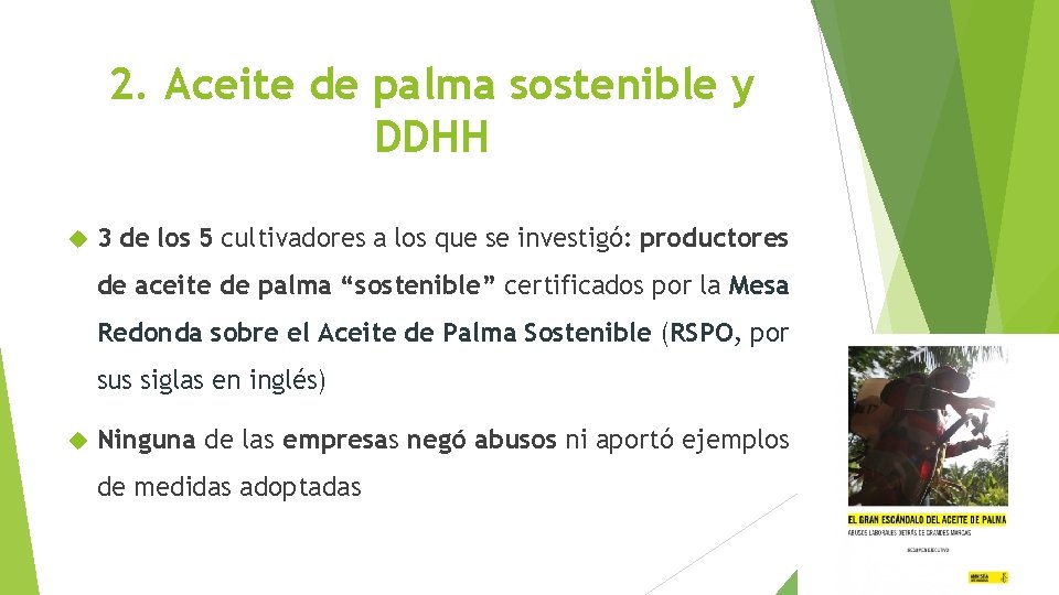 2. Aceite de palma sostenible y DDHH 3 de los 5 cultivadores a los