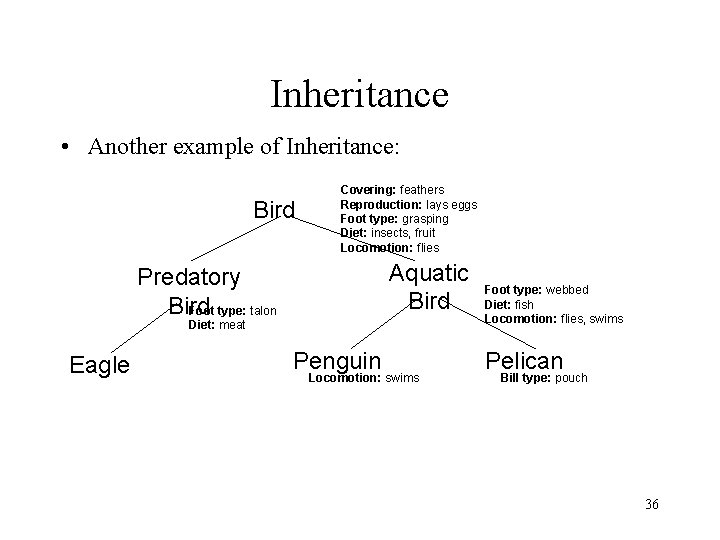 Inheritance • Another example of Inheritance: Bird Covering: feathers Reproduction: lays eggs Foot type: