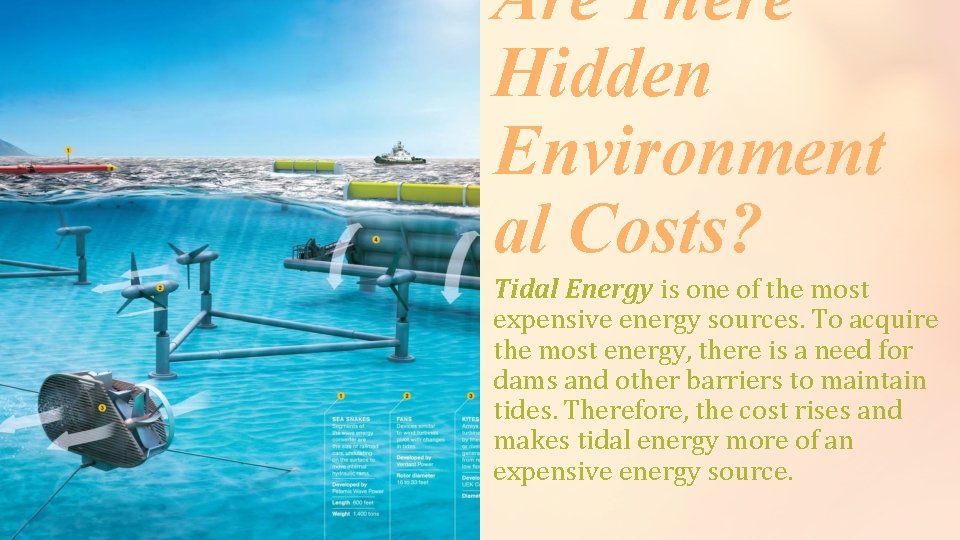 Are There Hidden Environment al Costs? Tidal Energy is one of the most expensive