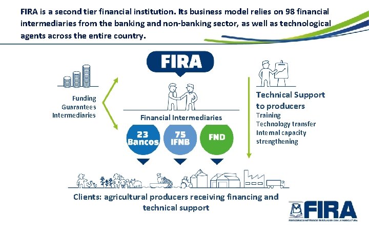 FIRA is a second tier financial institution. Its business model relies on 98 financial