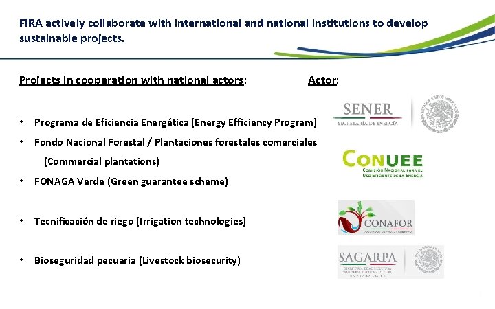 FIRA actively collaborate with international and national institutions to develop sustainable projects. Projects in