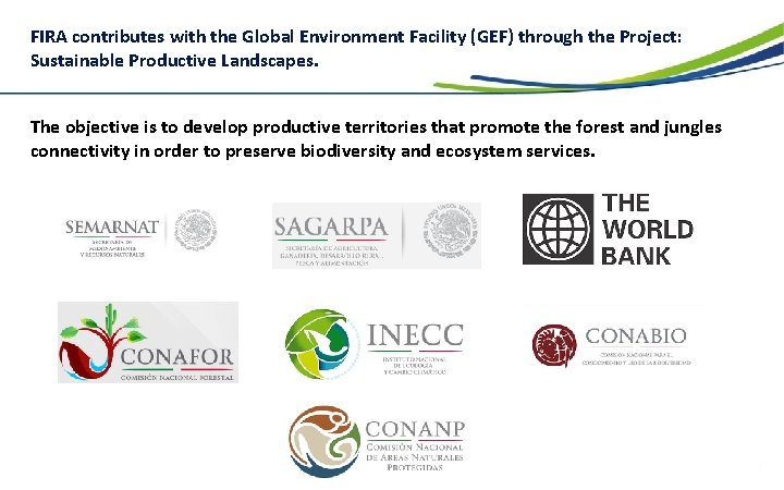 FIRA contributes with the Global Environment Facility (GEF) through the Project: Sustainable Productive Landscapes.