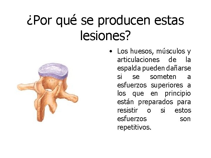 ¿Por qué se producen estas lesiones? • Los huesos, músculos y articulaciones de la