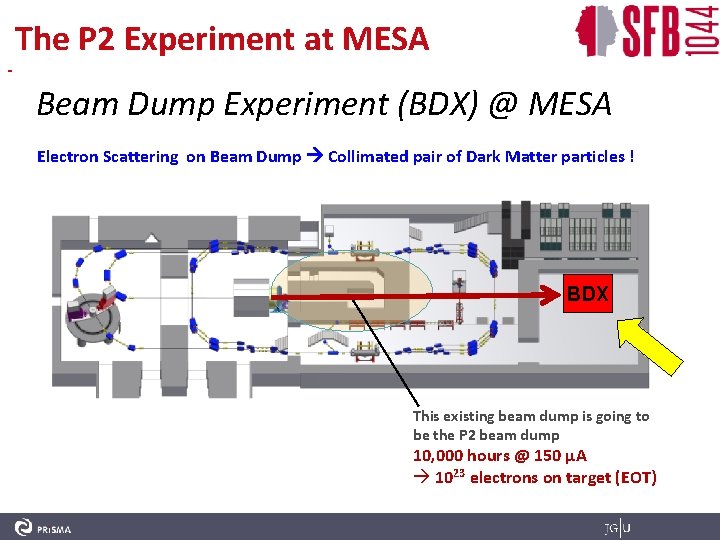 - The P 2 Experiment at MESA Beam Dump Experiment (BDX) @ MESA Electron