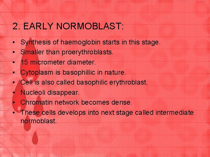 2. EARLY NORMOBLAST: • • Synthesis of haemoglobin starts in this stage. Smaller than