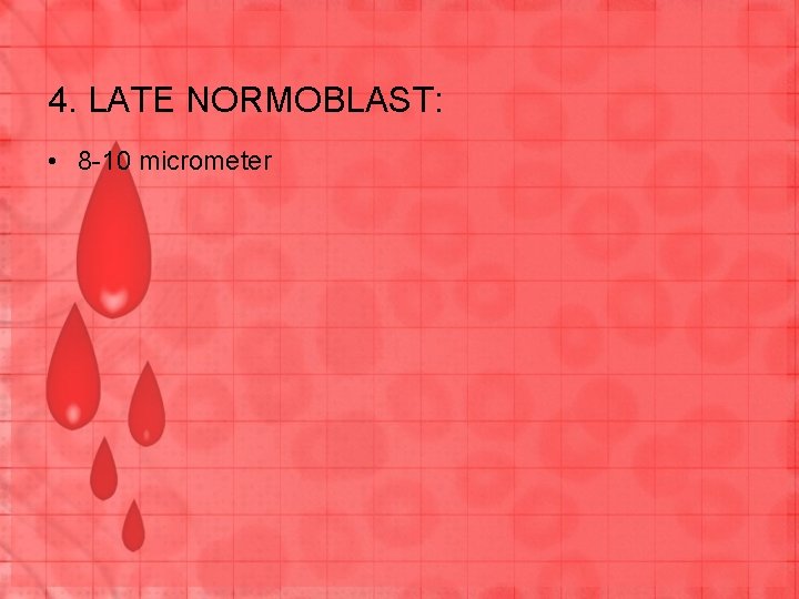 4. LATE NORMOBLAST: • 8 -10 micrometer 