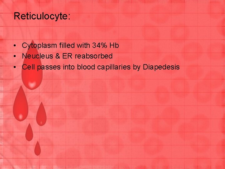 Reticulocyte: • Cytoplasm filled with 34% Hb • Neucleus & ER reabsorbed • Cell