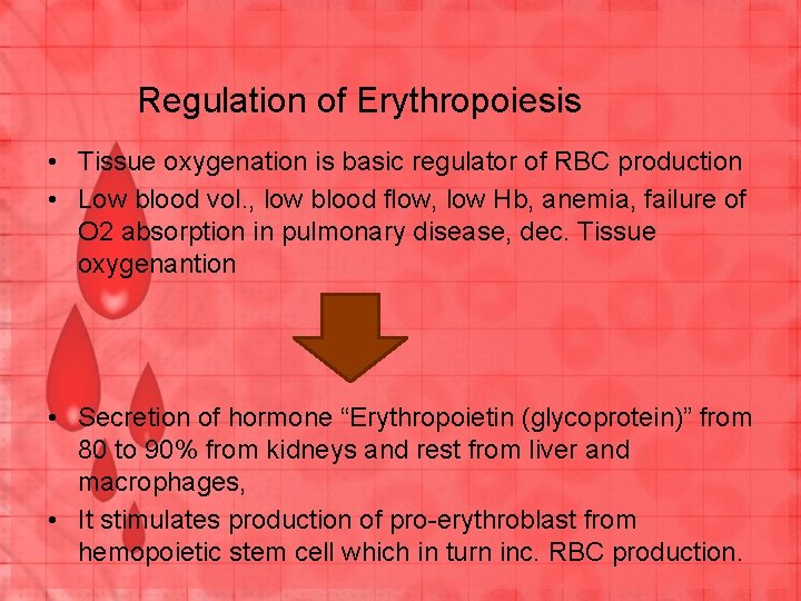 Regulation of Erythropoiesis • Tissue oxygenation is basic regulator of RBC production • Low