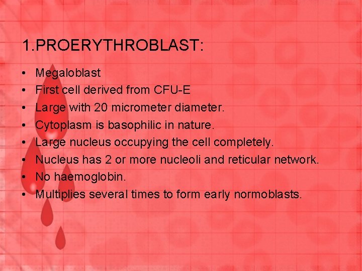 1. PROERYTHROBLAST: • • Megaloblast First cell derived from CFU-E Large with 20 micrometer