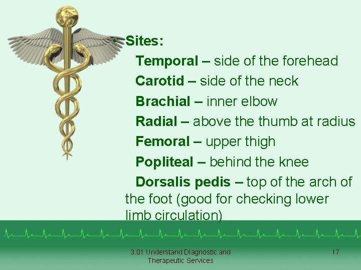  • Sites: Temporal – side of the forehead Carotid – side of the