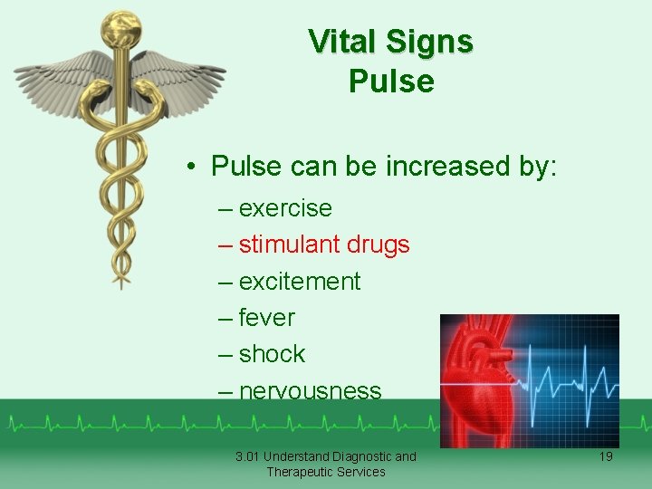 Vital Signs Pulse • Pulse can be increased by: – exercise – stimulant drugs