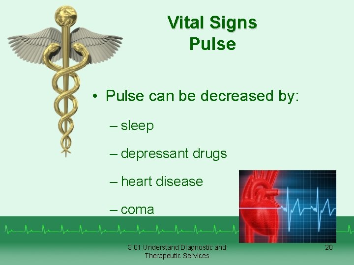 Vital Signs Pulse • Pulse can be decreased by: – sleep – depressant drugs