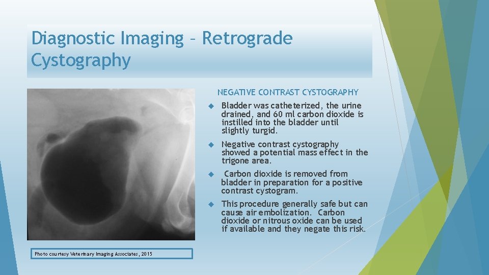 Diagnostic Imaging – Retrograde Cystography NEGATIVE CONTRAST CYSTOGRAPHY Photo courtesy Veterinary Imaging Associates, 2015