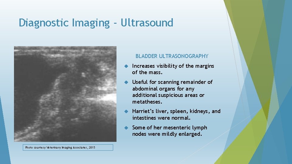 Diagnostic Imaging - Ultrasound ) BLADDER ULTRASONOGRAPHY Photo courtesy Veterinary Imaging Associates, 2015 Increases