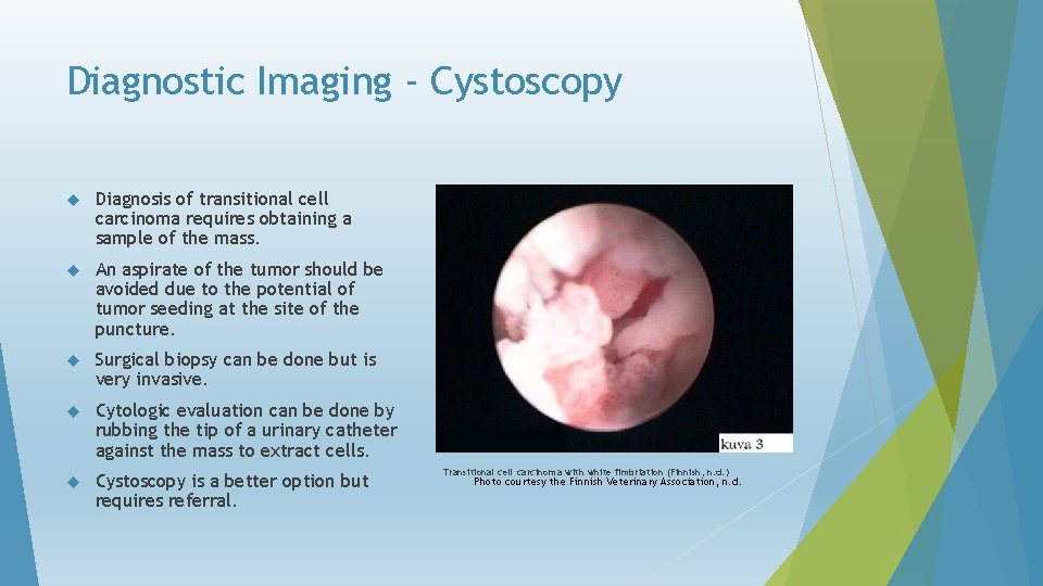 Diagnostic Imaging - Cystoscopy Diagnosis of transitional cell carcinoma requires obtaining a sample of