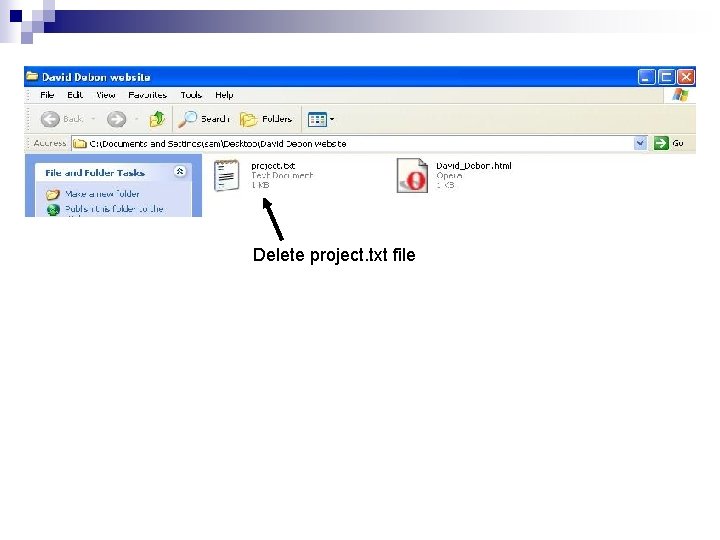 Delete project. txt file 