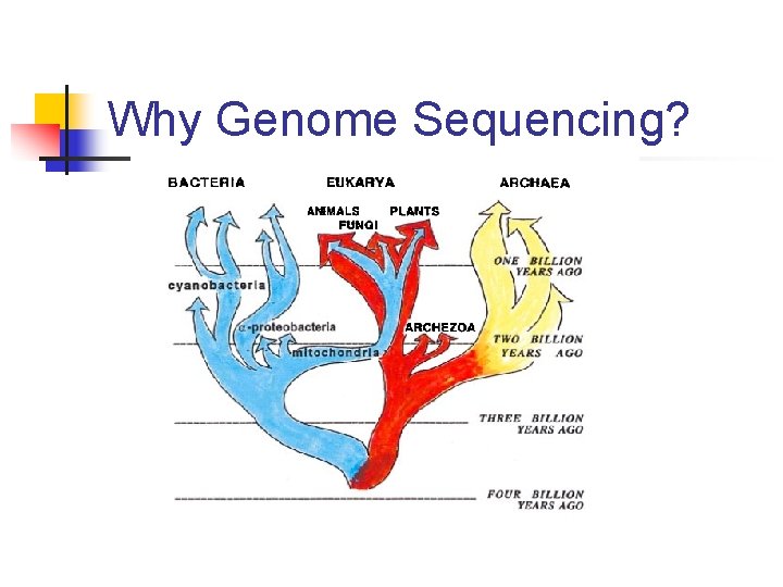 Why Genome Sequencing? 