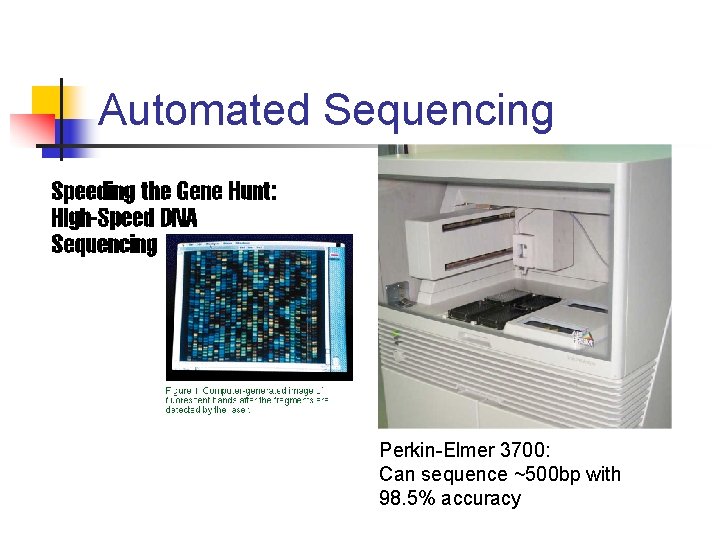 Automated Sequencing Perkin-Elmer 3700: Can sequence ~500 bp with 98. 5% accuracy 