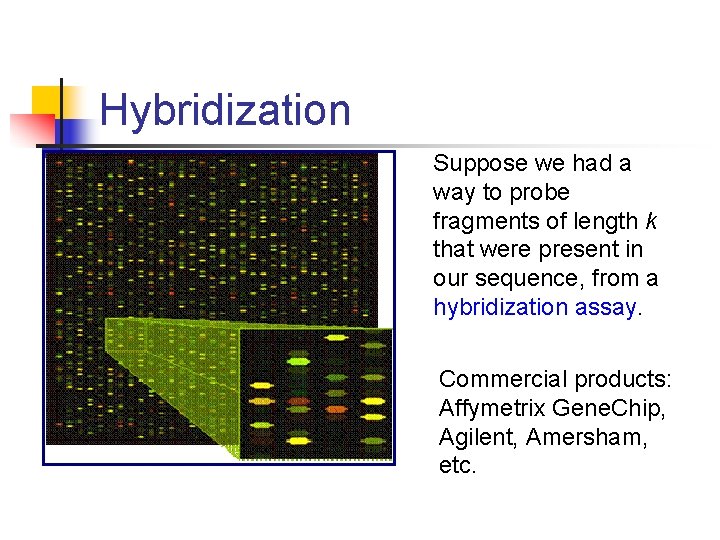 Hybridization Suppose we had a way to probe fragments of length k that were