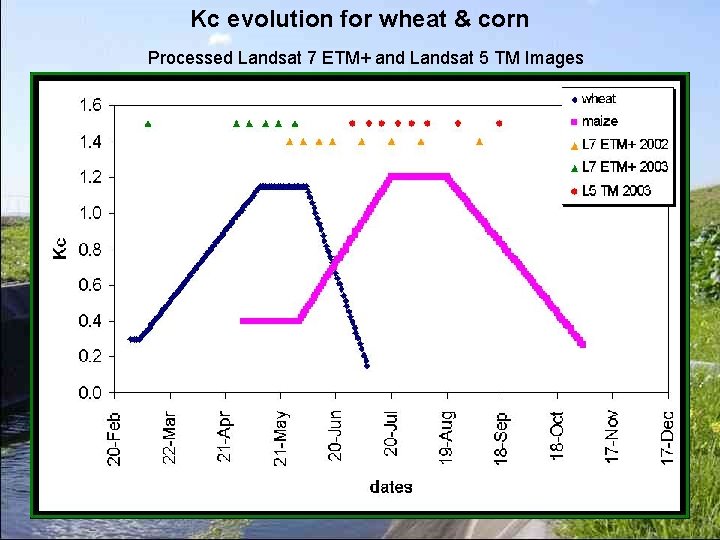 Kc evolution for wheat & corn Processed Landsat 7 ETM+ and Landsat 5 TM