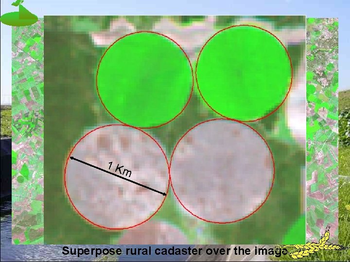 1 K m Superpose rural cadaster over the image 