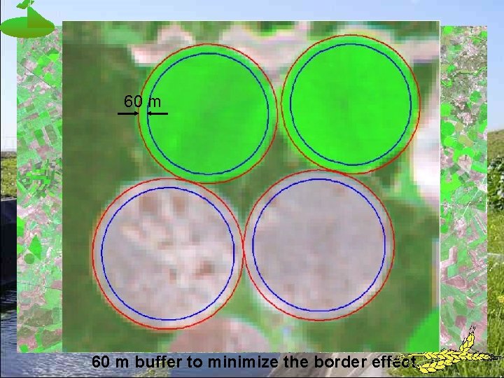 60 m buffer to minimize the border effect 