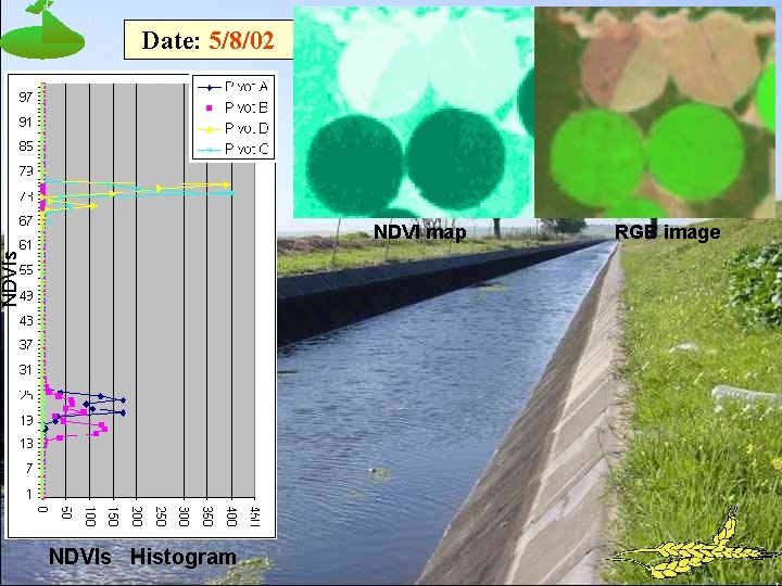 Date: 5/8/02 NDVIs NDVI map NDVIs Histogram RGB image 