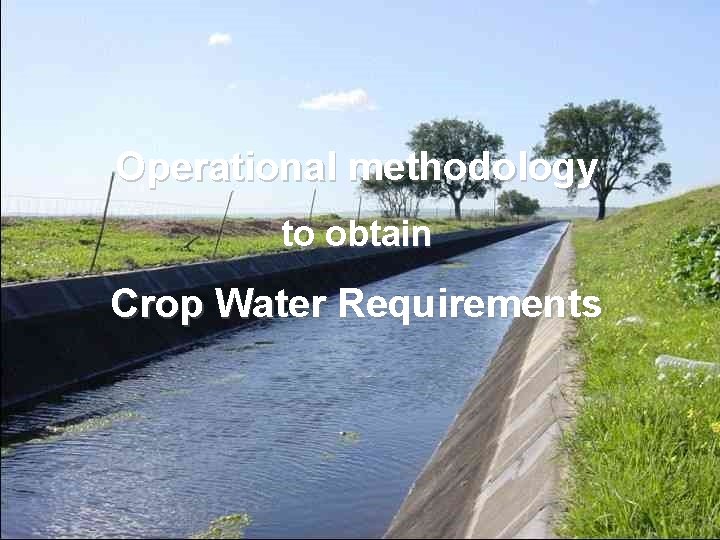 Operational methodology to obtain Crop Water Requirements 